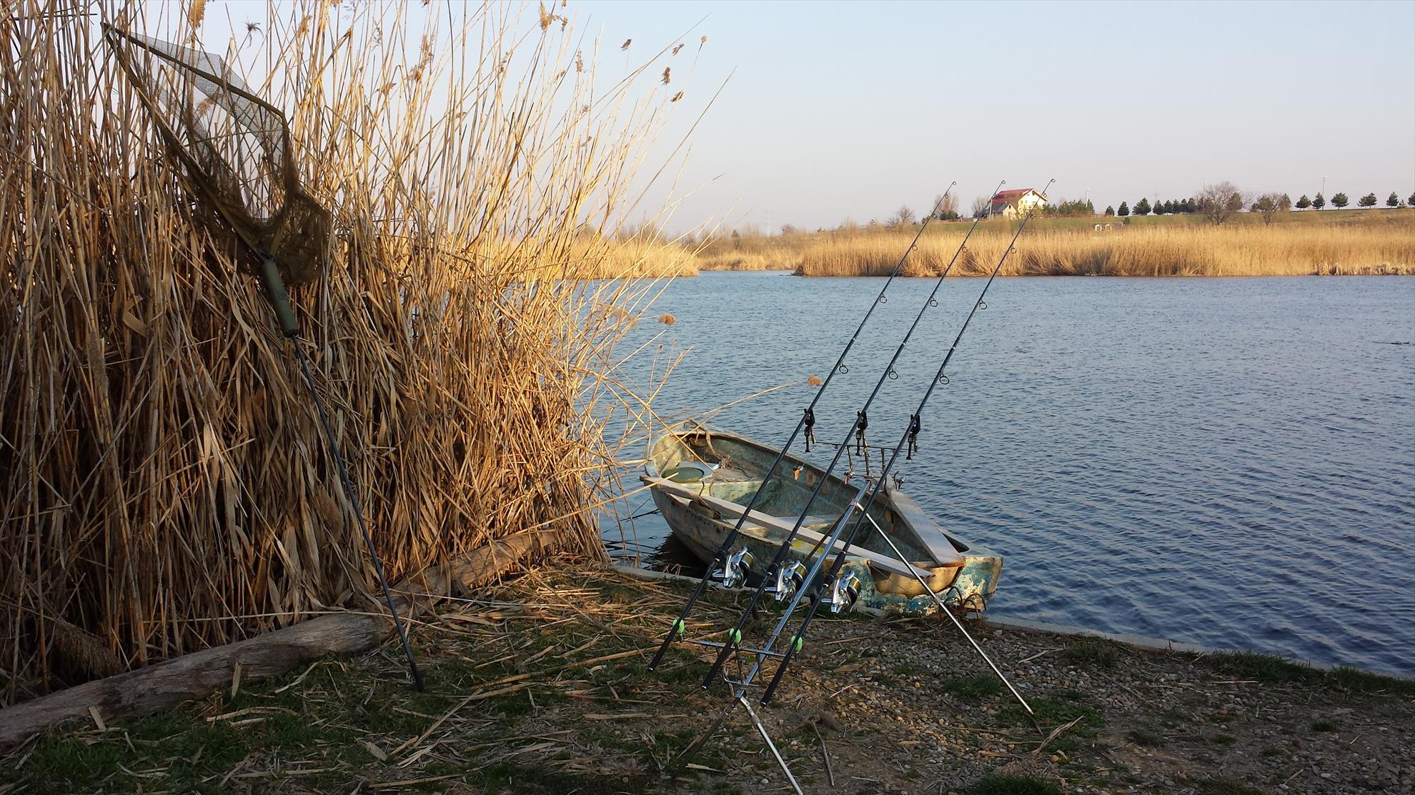 Tancabesti 14 - 16 mar. - 2014-03-14-170053.jpg